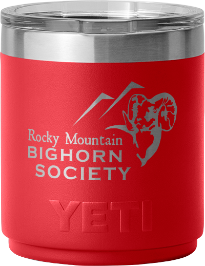 RAMBLER® 10 OZ STACKABLE LOWBALL WITH MAGSLIDER™ LID