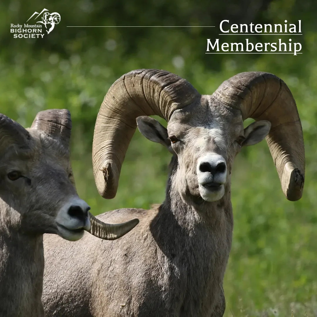 RMBS Membership