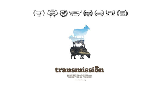 Transmission | SHORT VERSION