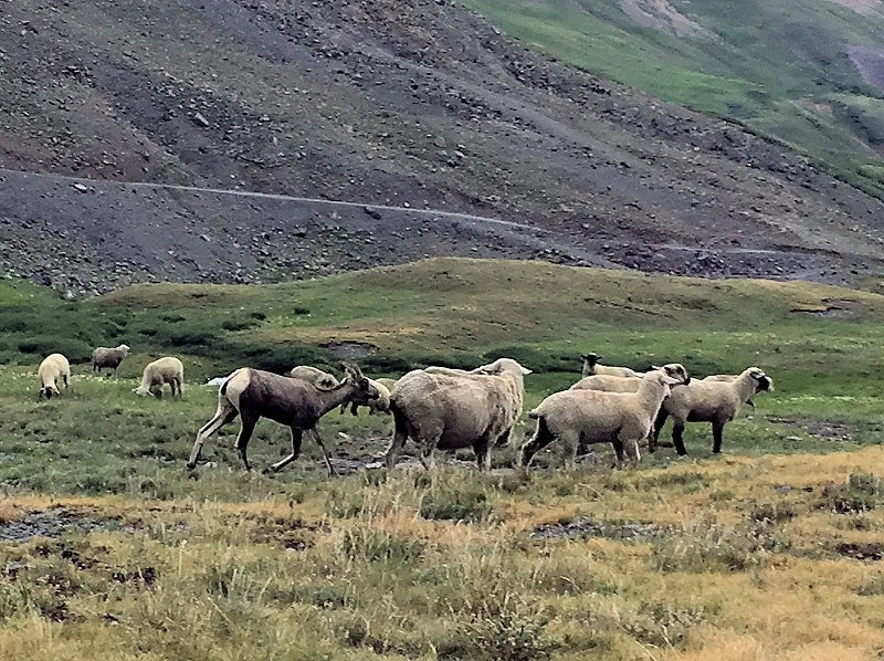 Science on Tap Registration