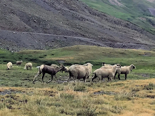 Science on Tap Registration