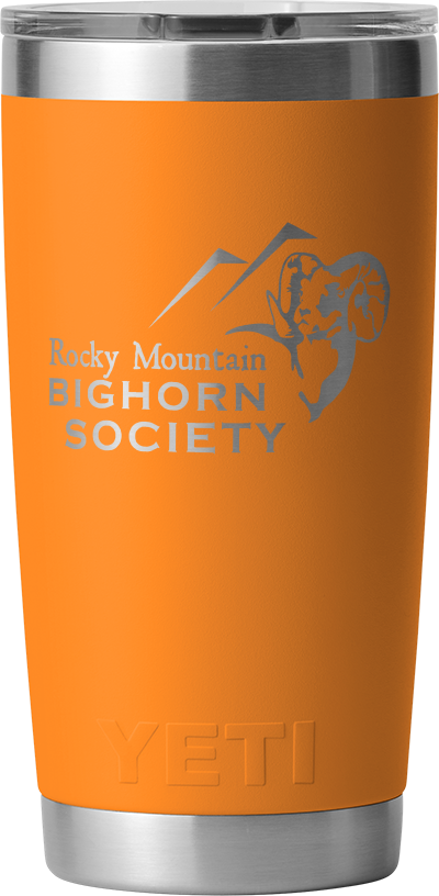 RAMBLER® 20 OZ TUMBLER WITH MAGSLIDER™ LID