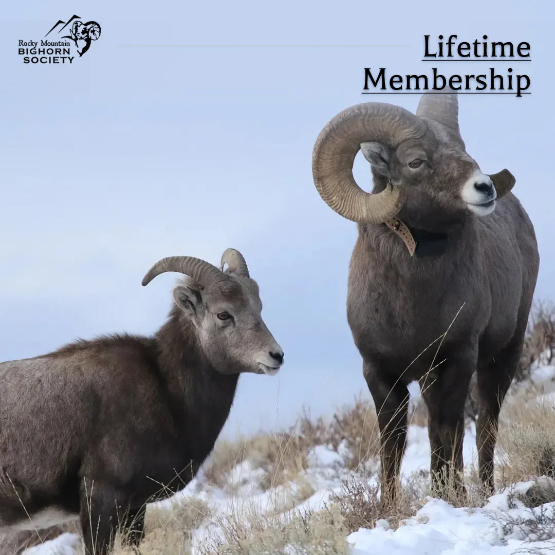 Gift RMBS Membership