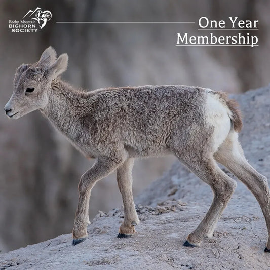 Gift RMBS Membership