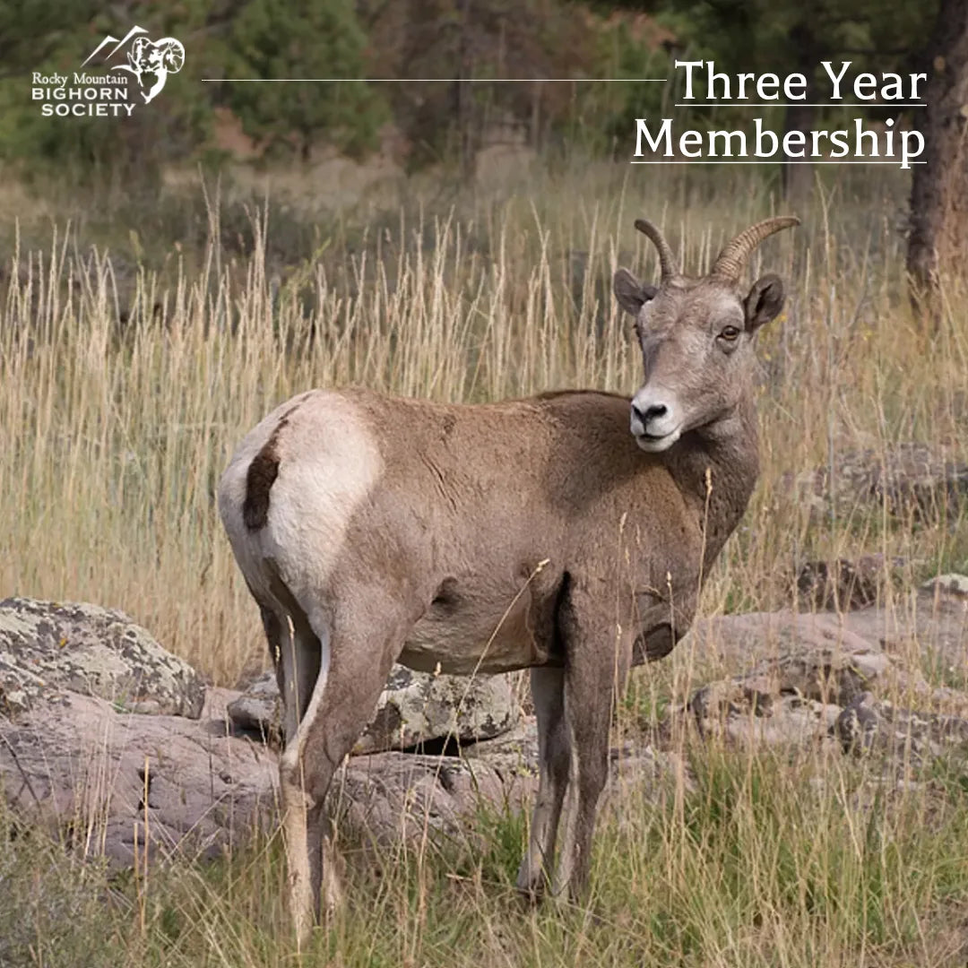 Gift RMBS Membership