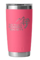 RAMBLER® 20 OZ TUMBLER WITH MAGSLIDER™ LID