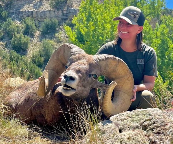 2025 Colorado Statewide Rocky Mountain Bighorn Sheep License Raffle